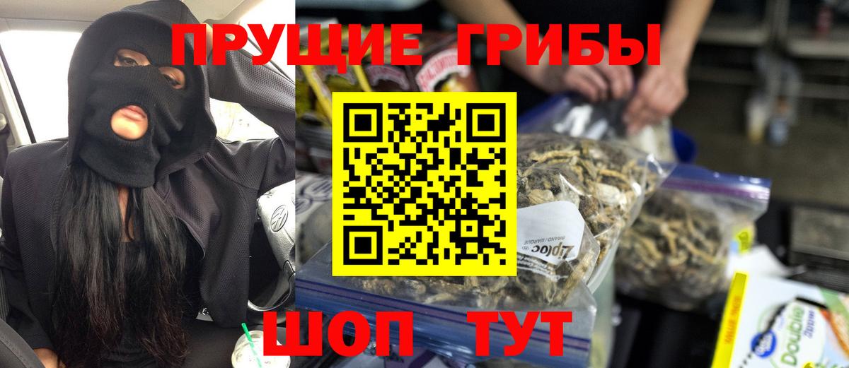 Псилоцибиновые грибы Psilocybe  Вход с VPN  Сорочинск  Псилоцибиновые грибы прущие грибы 